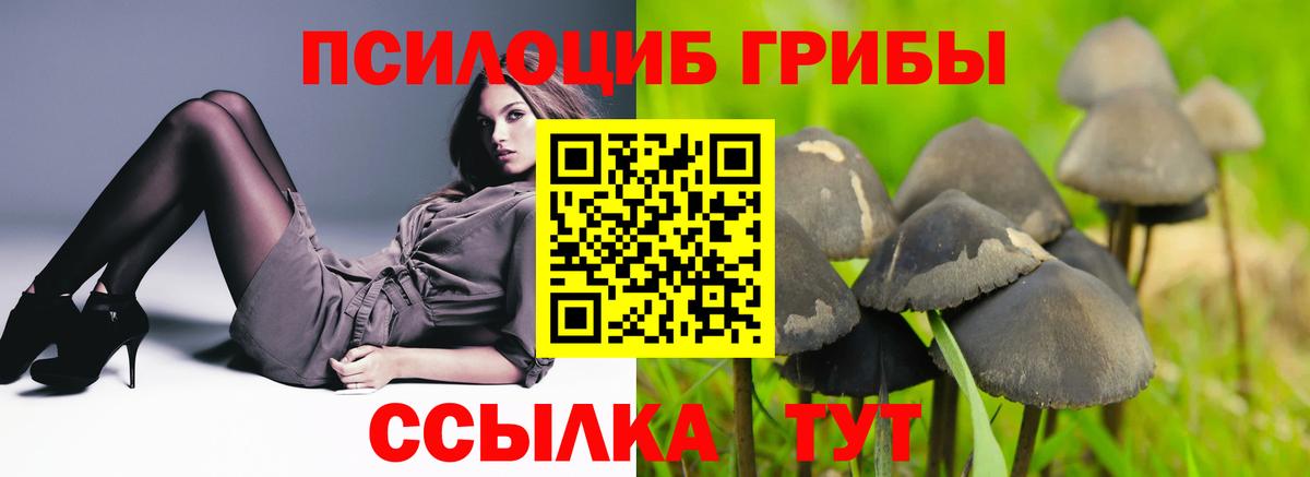 Спасск-Дальний  Псилоцибиновые грибы мицелий  Вход с VPN 